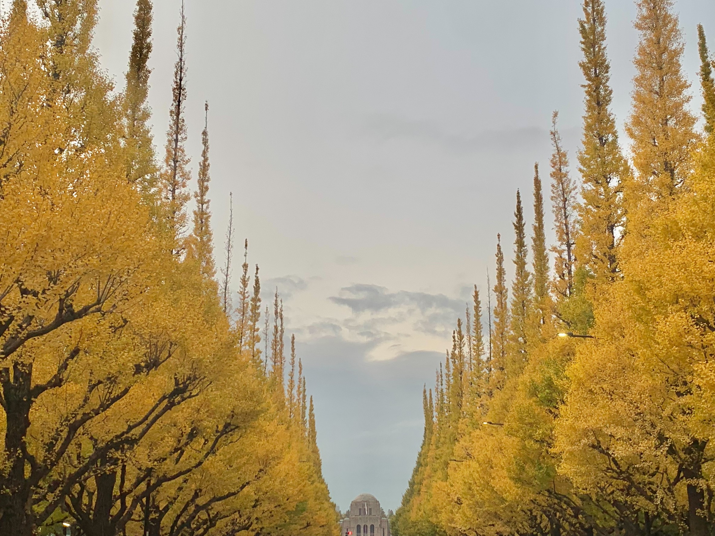 日本工作03 轉職的進階手段 內推、人脈與主動出擊