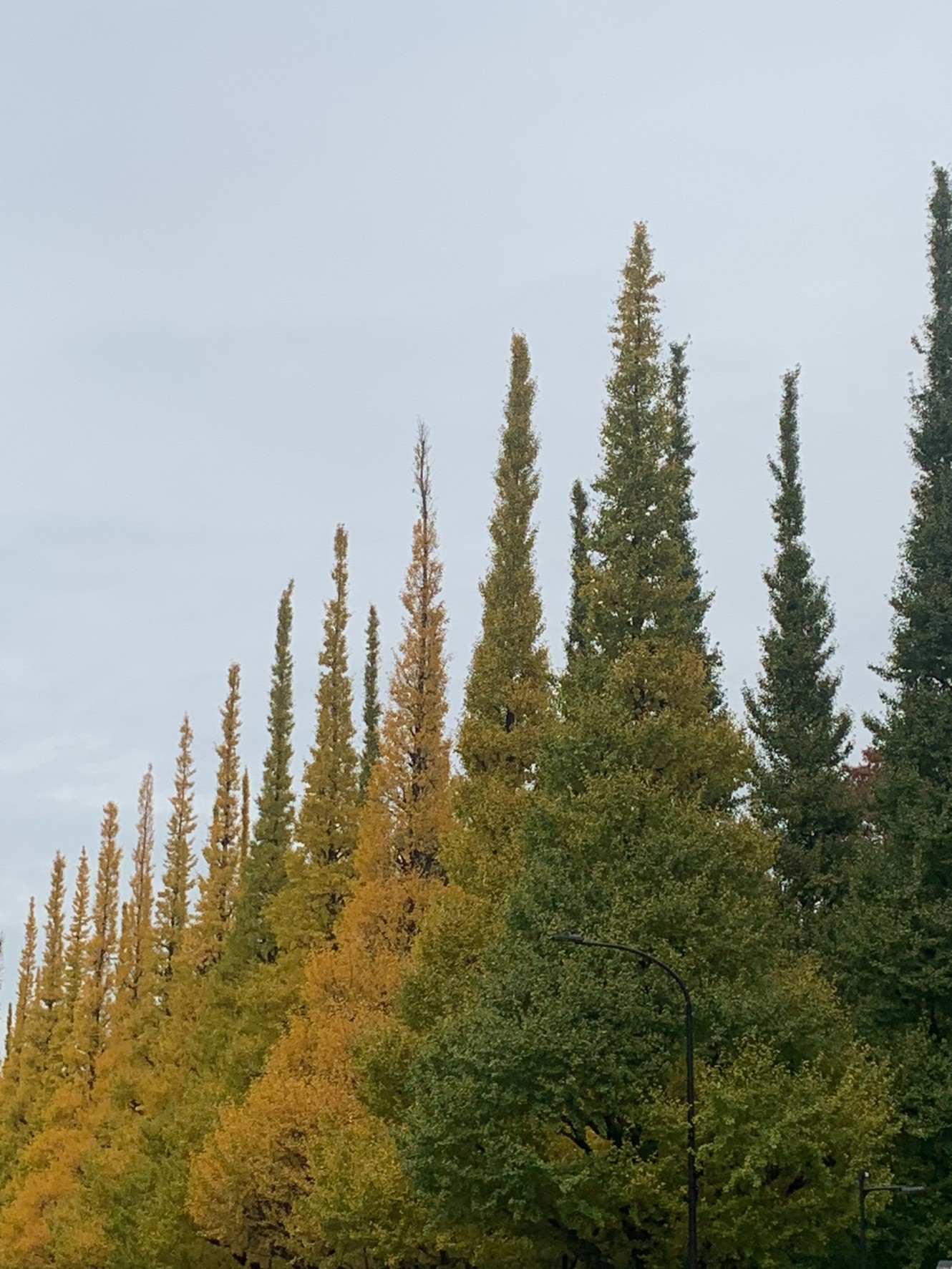 日本工作02 打造職涯競爭力：從履歷梳理到獵頭合作