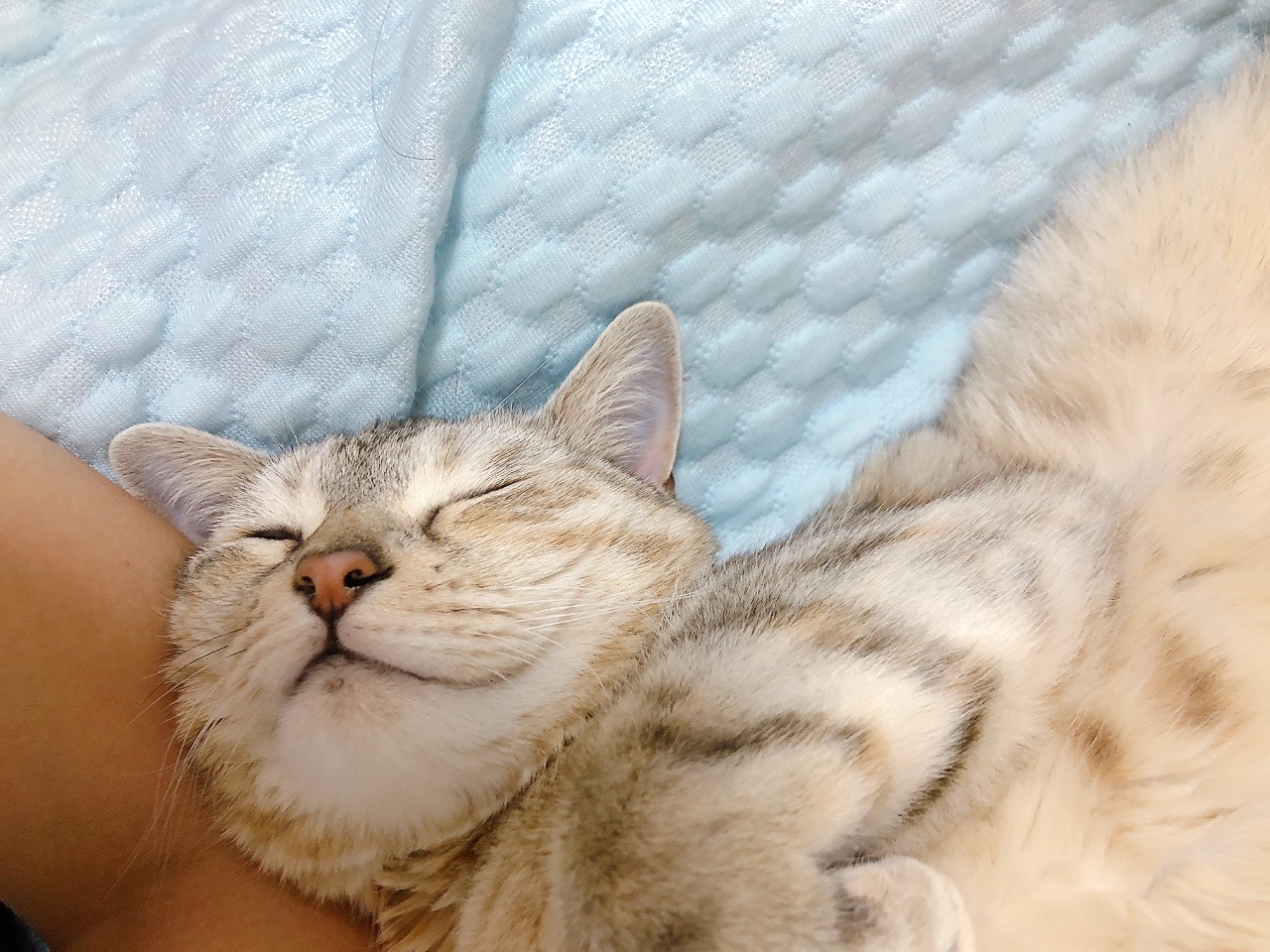 夢02 惡夢與潛意識