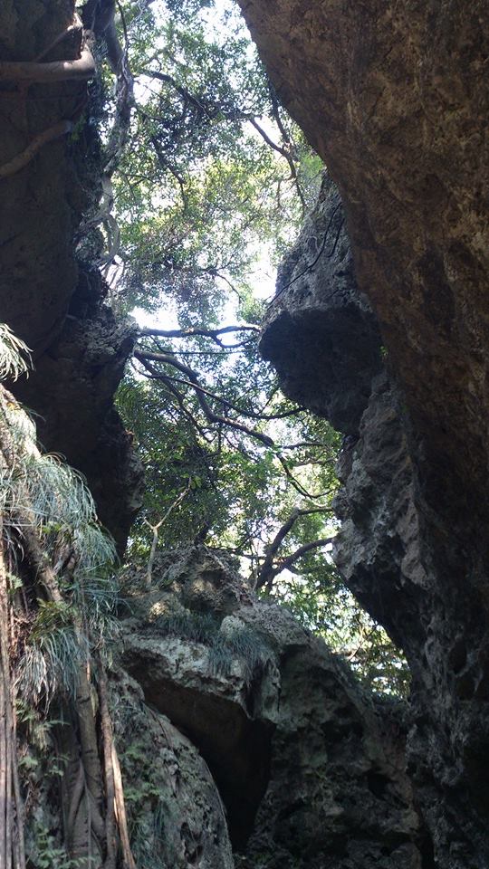 我的少數攀岩經驗 上集