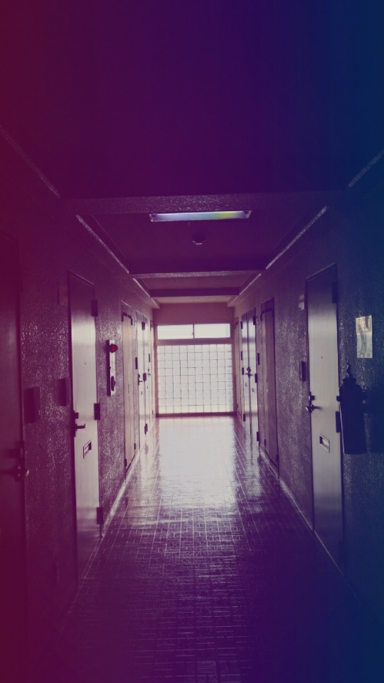 瑪麗與她的小公寓(小小說)