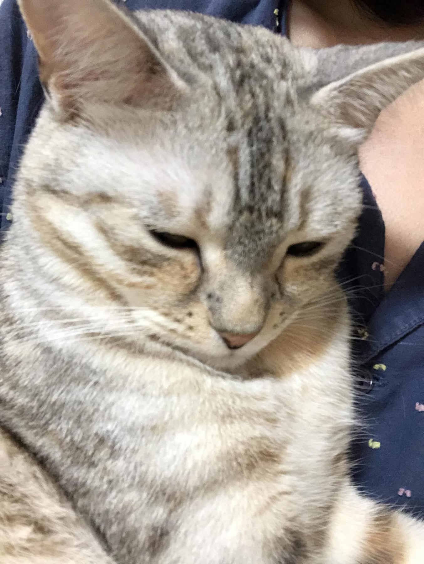 星星照顧指南03不要理她