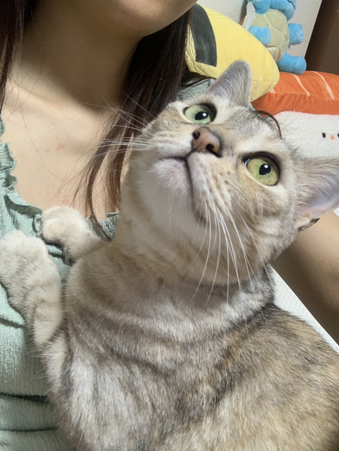 幻想動物曲